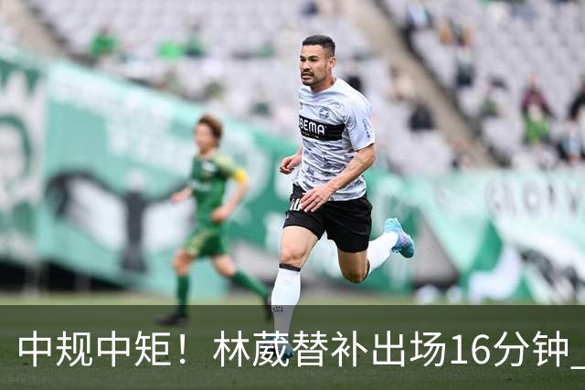 中规中矩！林葳替补出场16分钟 6投2中&三分5中2得到6分2板1断