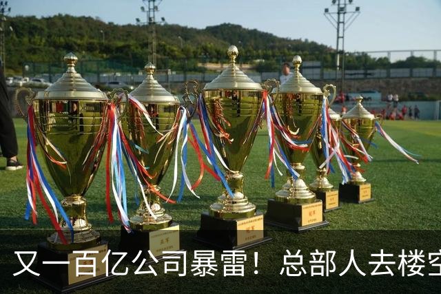 又一百亿公司暴雷！总部人去楼空，创始人失联被立案，谁来承担？