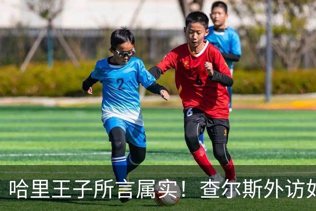 哈里王子所言属实！查尔斯外访如期进行，威廉王储继位再起变数