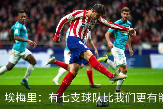 埃梅里：有七支球队比我们更有能力