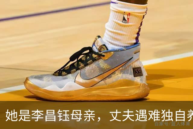 她是李昌钰母亲，丈夫遇难独自养13个博士，晚年想为家乡捐运动场