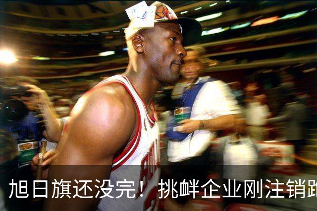旭日旗还没完！挑衅企业刚注销跑路，又揪出5个跟风“一起披”的
