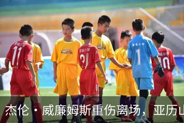 杰伦·威廉姆斯重伤离场，亚历山大含泪：撑到他回来
