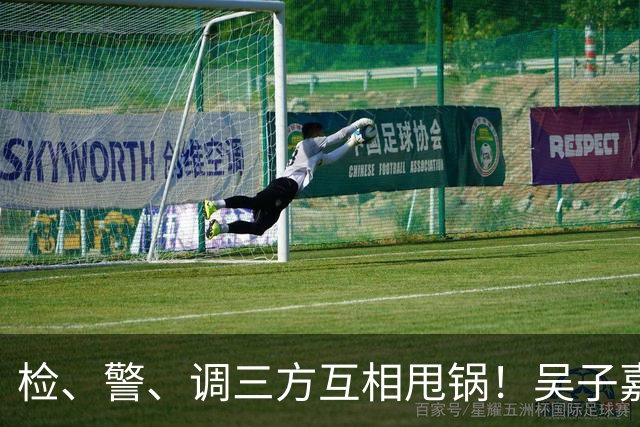 检、警、调三方互相甩锅！吴子嘉上演反击教科书，郑丽文可以效仿
