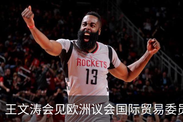 王文涛会见欧洲议会国际贸易委员会主席朗格：中国不是欧盟问题的根源，而是解决问题的伙伴，希望欧方与中方相向而行