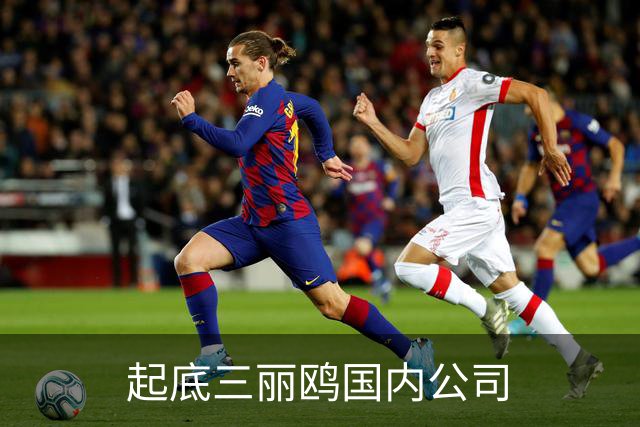 起底三丽鸥国内公司