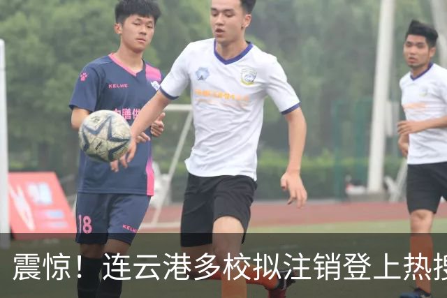 震惊！连云港多校拟注销登上热搜，大咖博主喊话家长停止鸡娃，预言脑机接口可灌输知识，言论引发激烈争论