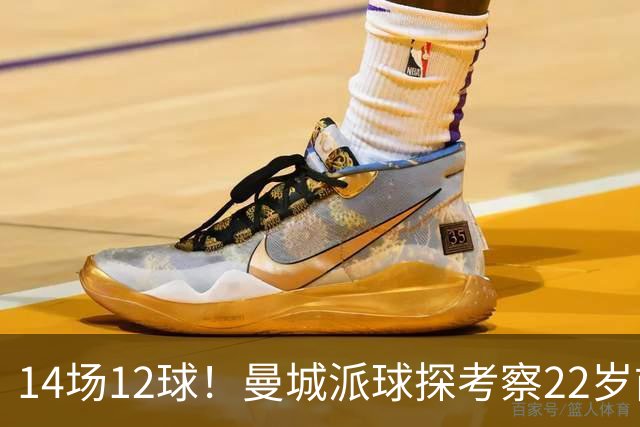 14场12球！曼城派球探考察22岁前锋，哈兰德替补有解了