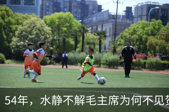 54年，水静不解毛主席为何不见贺子珍，杨尚奎：江青又要大吵大闹