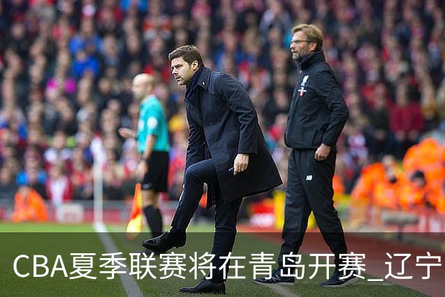 CBA夏季联赛将在青岛开赛 辽宁广东等十队参加